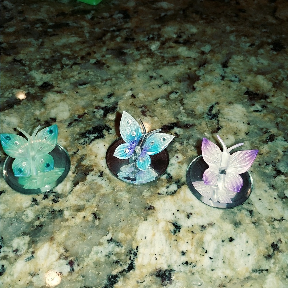 Glass baron butterflies 3
